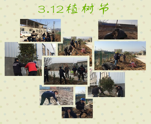 寶雞捷銳“迎春風，綠家園”植樹節(jié)(圖3)
